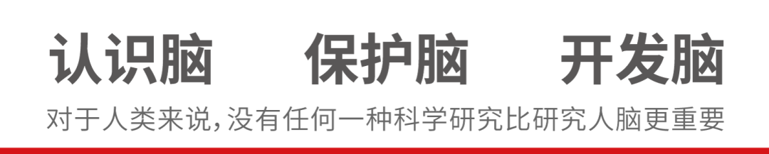 認識腦，保護腦，開發腦